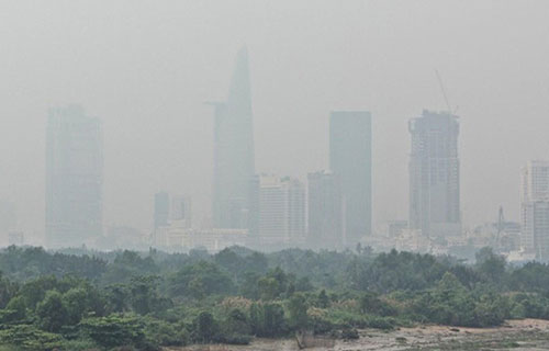 "Một mét vuông đất, một tất vàng" ở TPHCM có giá gần 1 tỷ đồng